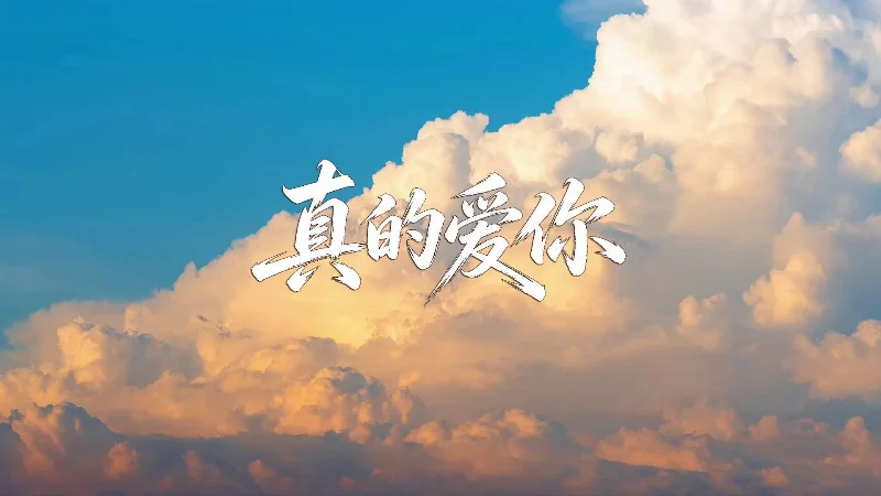 2021年第48周：《真的爱你》- 顶风视频工坊