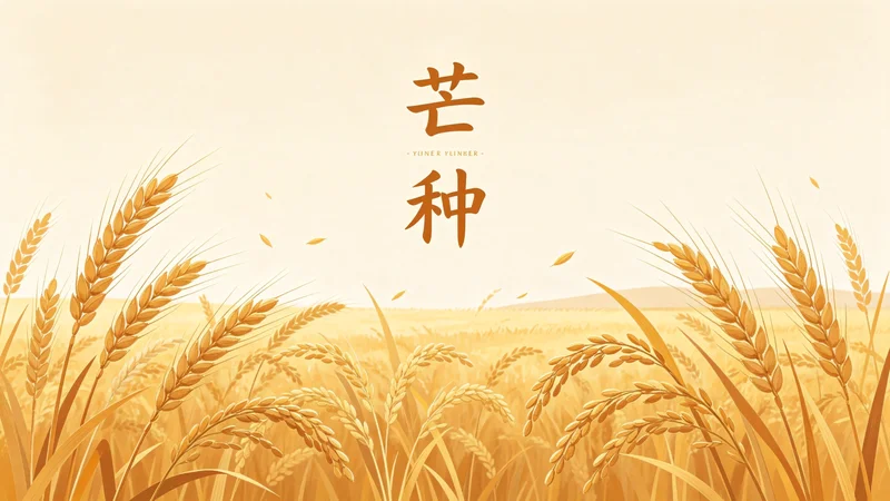 芒种了，又到了换键盘轴的季节