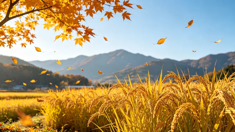 立秋时节读《百年孤独》：季节与文字的奇妙交响