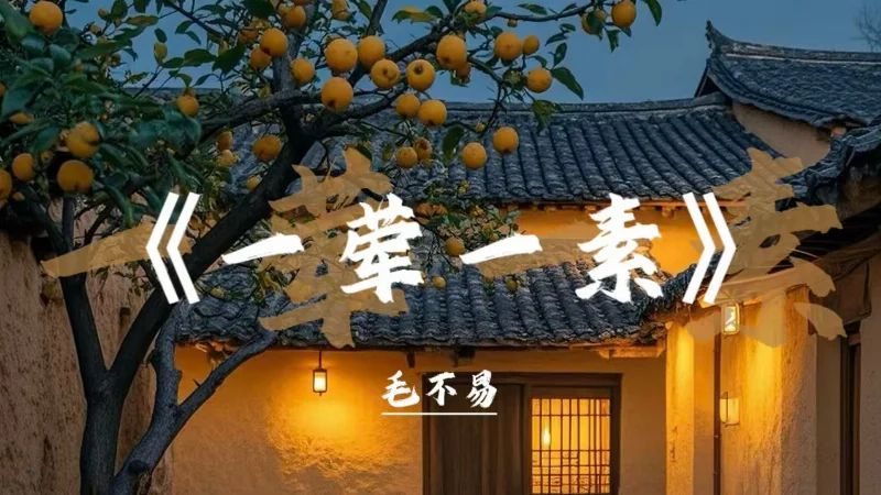 2024年第36周：《一荤一素》- 毛不易