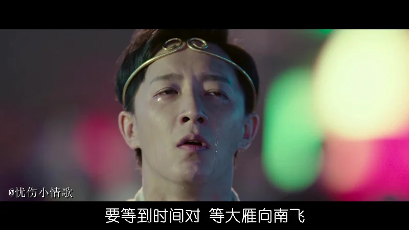 2024年第41周：《孤芳自赏》- 杨小壮