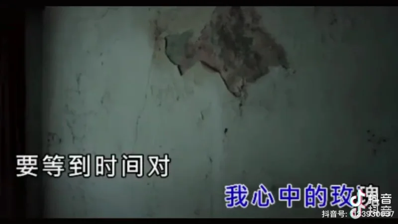 2024年第51周：《孤芳自赏》- 杨小壮