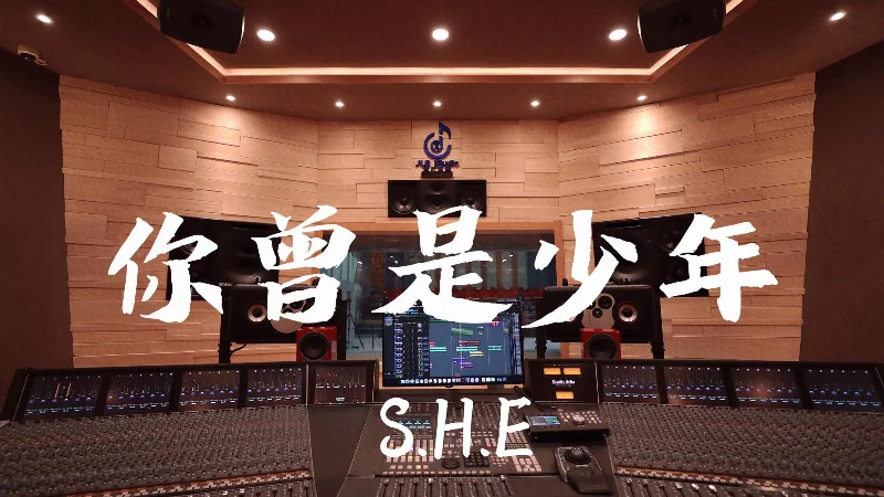 2016年第4周：《你曾是少年》- S.H.E