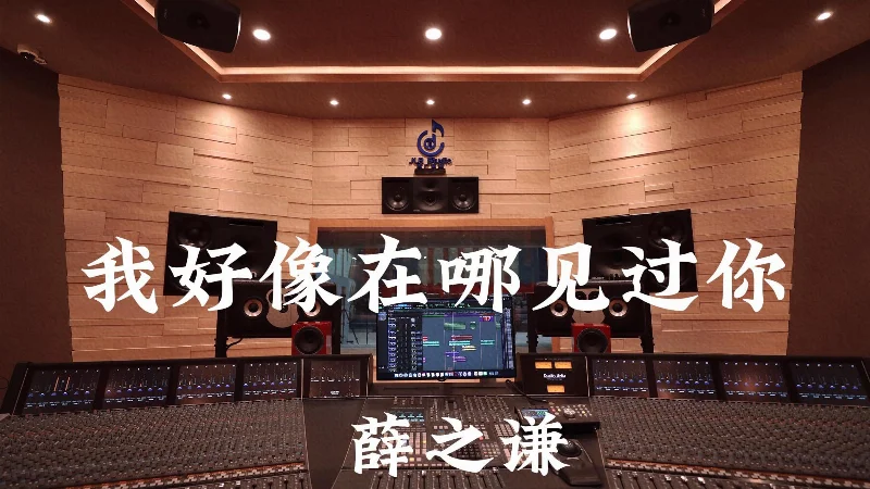 2016年第19周：《我好像在哪见过你》- 薛之谦