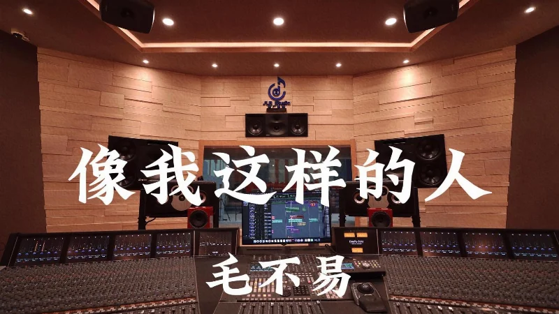 2017年第2周：《像我这样的人》- 毛不易