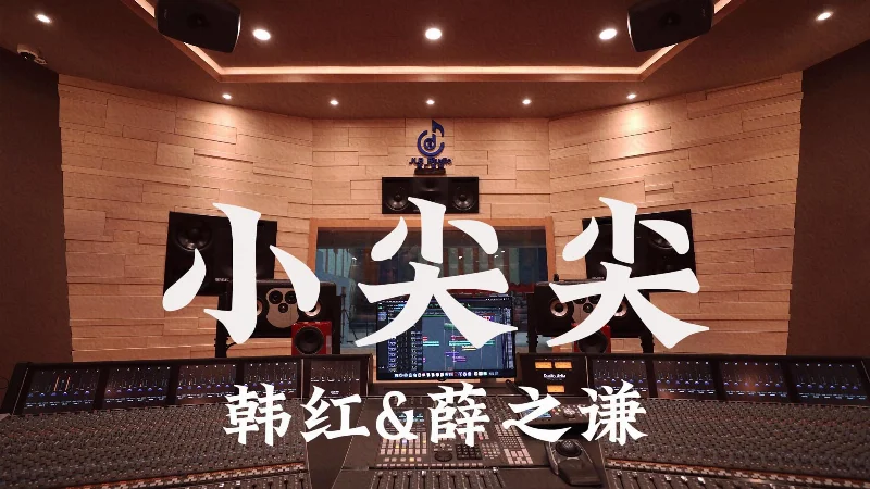 2017年第9周：《骆驼》- 薛之谦