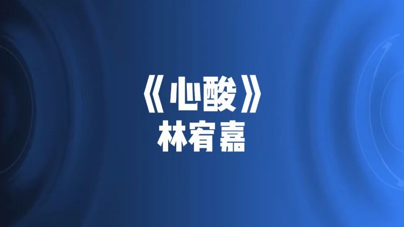 2025年第31周：《心酸》- 林宥嘉