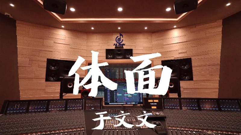 2017年第50周：《体面》- 于文文