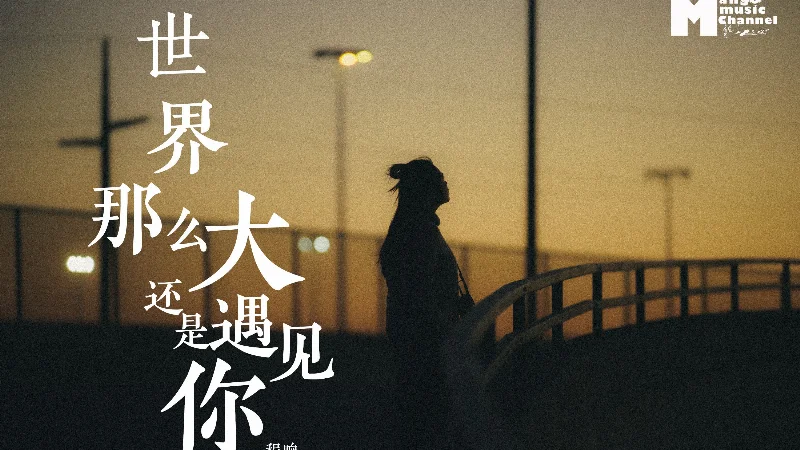 2019年第20周：《世界这么大还是遇见你》- 程响