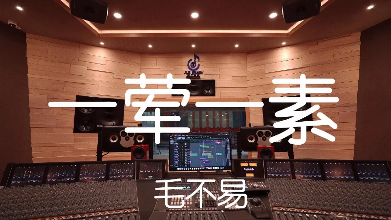 2019年第30周：《一荤一素》- 毛不易