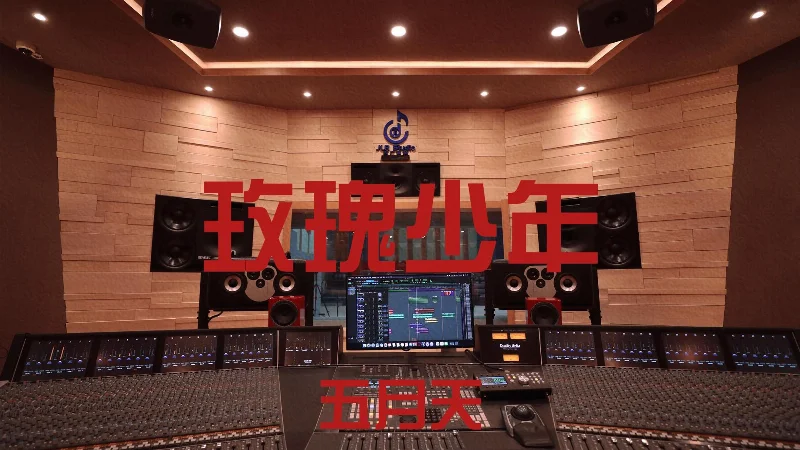 2019年第35周：《玫瑰少年》- 五月天