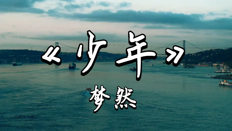 2025年第47周：《少年》- 梦然