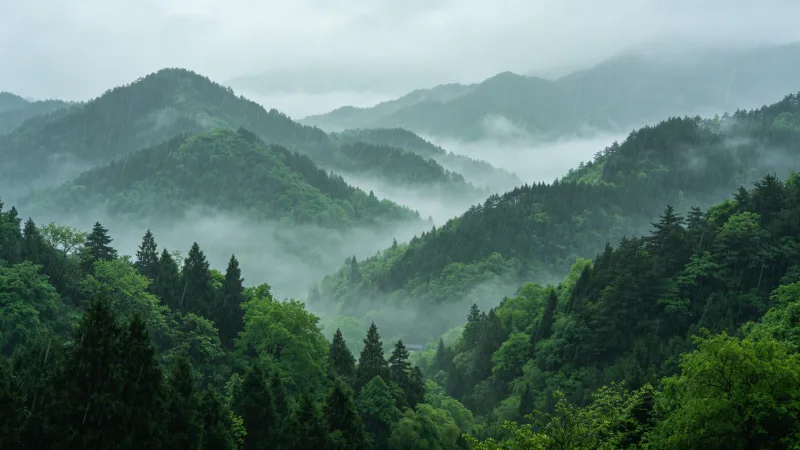 清明节：缅怀先人，珍惜当下